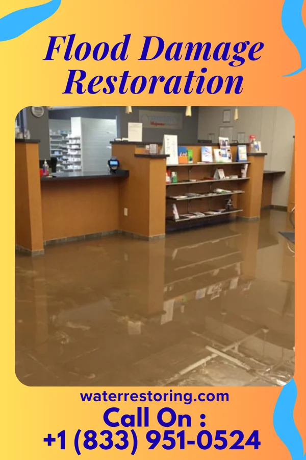 Flood Damage Restoration in Fort Green Springs, FL