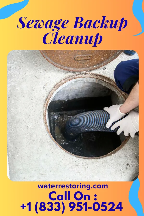Sewage Backup Cleanup in Fort Green Springs, FL